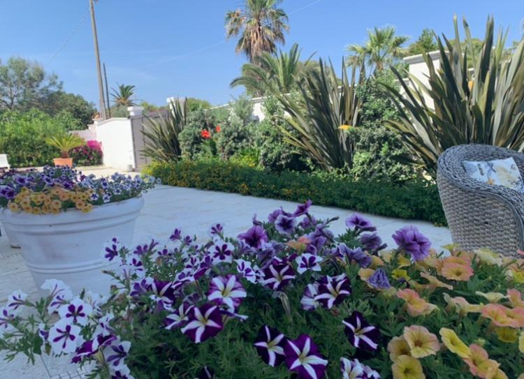 Campomarino  Villa Katy Salento מראה חיצוני תמונה